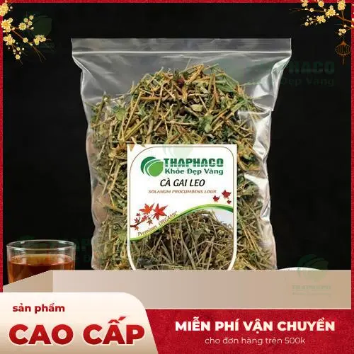 Cà Gai Leo khô đã được sơ chế cẩn thận