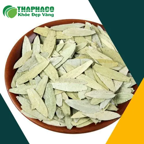 Quy trình sơ chế Phan Tả Diệp tại THAPHACO