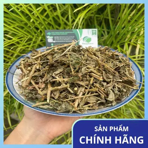 Quy trình trồng trọt cà gai leo sạch, xanh tại THAPHACO