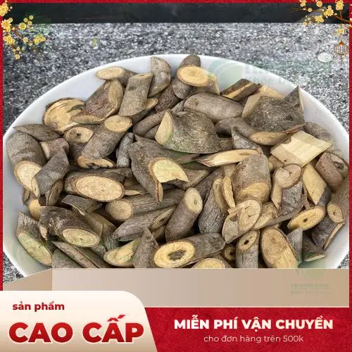 Hướng dẫn cách sơ chế và sắc Cây An Xoa đúng cách để đạt hiệu quả cao