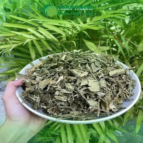 Dây Thìa Canh sấy khô chất lượng cao từ Thảo Dược Tươi THAPHACO