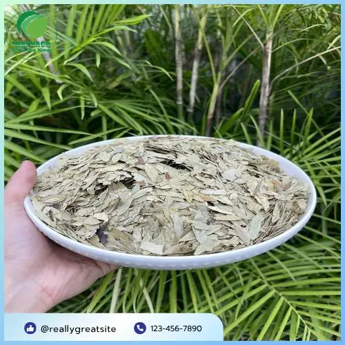 Kiểm định chất lượng Thảo Dược Tươi THAPHACO