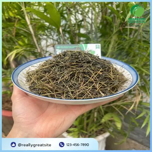 Cơ chế giảo cổ lam hỗ trợ giảm mỡ máu và bảo vệ tim mạch