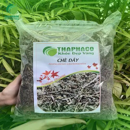 Cách pha chè dây đúng cách để tối ưu hiệu quả