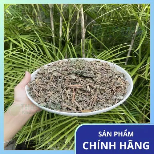 Quy trình đóng gói chè dây THAPHACO