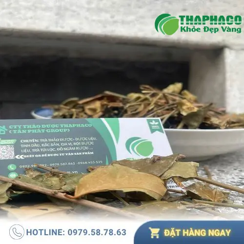 Pha chè vằng đúng cách để đạt hiệu quả tốt nhất