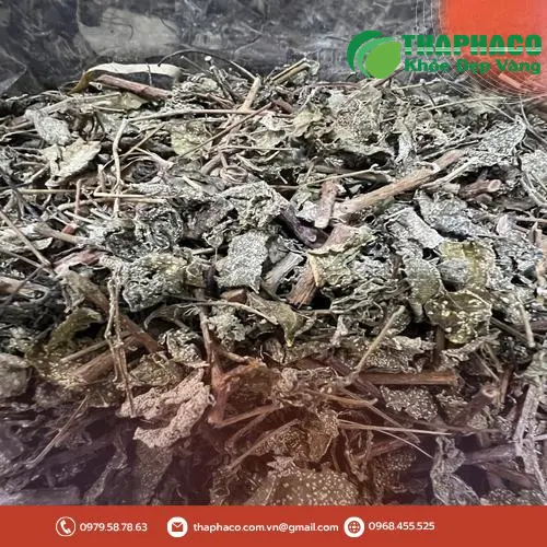 Cốc trà chè dây nóng hổi, màu vàng nâu trong vắt
