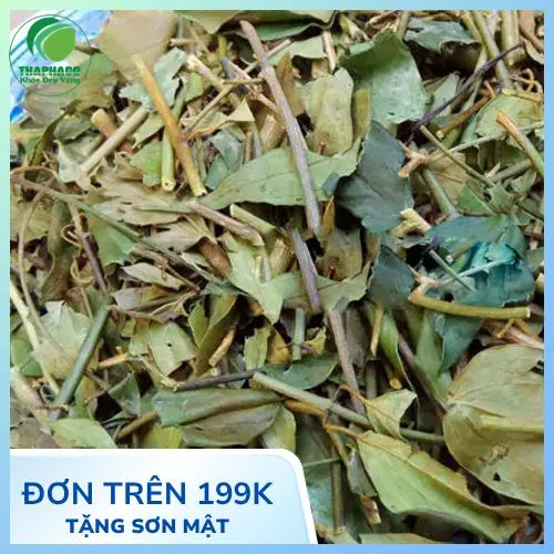 Chè vằng THAPHACO hỗ trợ phục hồi sức khỏe sau sinh và lợi sữa
