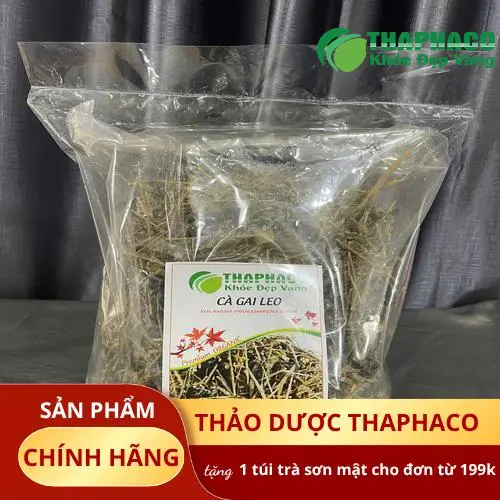 Quy trình đóng gói cà gai leo tại Thảo Dược Tươi THAPHACO