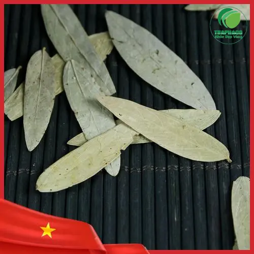 Phan Tả Diệp và các công dụng
