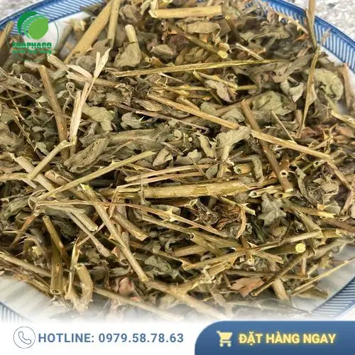 Cà gai leo khô THAPHACO chất lượng cao