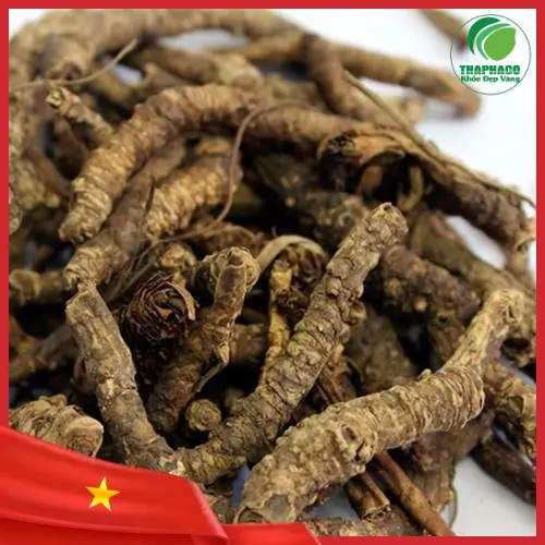 Hướng dẫn sắc Hoàng Liên trị viêm đại tràng