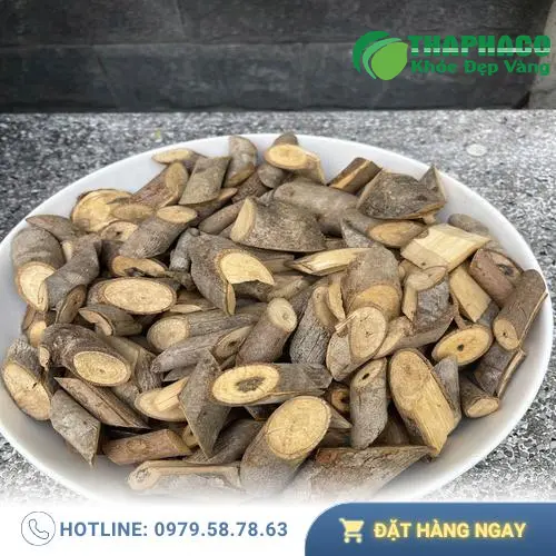 Mẹo bảo quản Cây An Xoa khô và tươi để giữ trọn dược tính