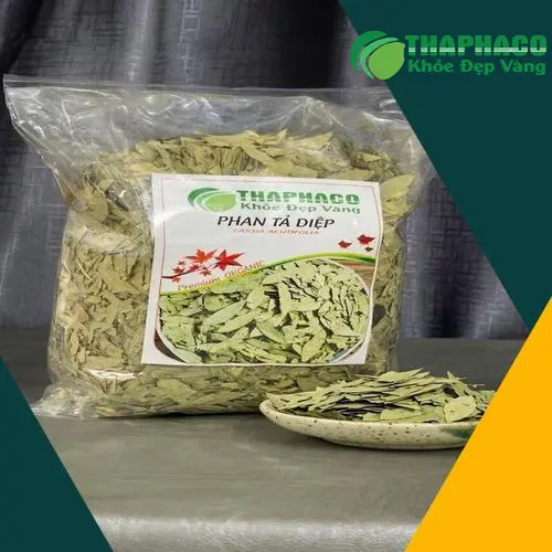 Lựa chọn Phan Tả Diệp chất lượng cao cho gia đình