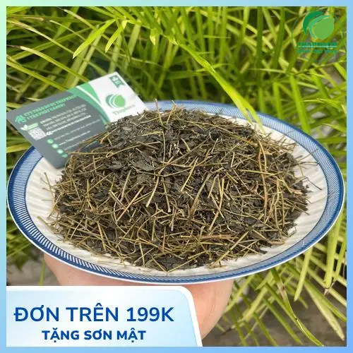 Hình ảnh minh họa việc pha trà Giảo Cổ Lam