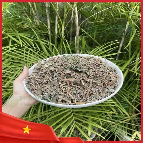 Chè dây Thảo Dược Tươi THAPHACO cam kết sạch, xanh
