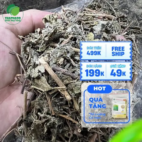 Chè dây THAPHACO đóng gói thành phẩm
