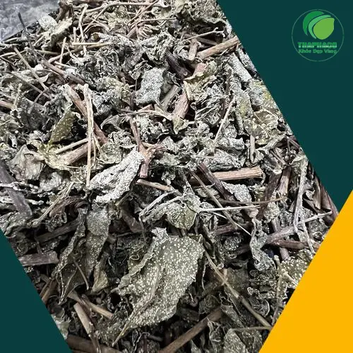 Cửa hàng Thảo Dược Tươi THAPHACO tại TP.HCM