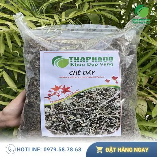 Gói chè dây Thảo Dược Tươi THAPHACO và túi trà sơn mật khuyến mãi