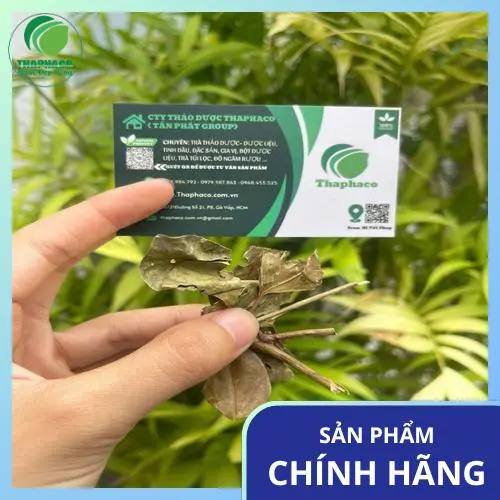 Đóng gói chè vằng sỉ chất lượng cao tại THAPHACO