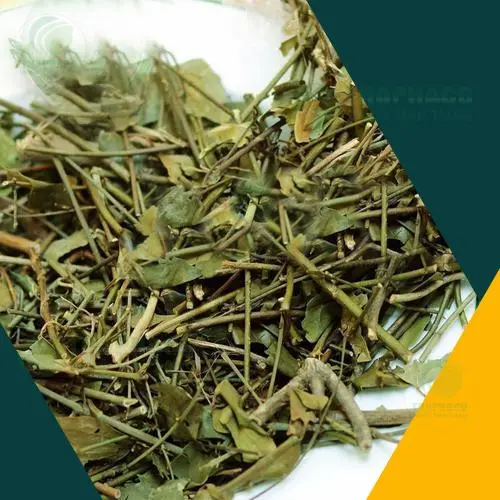 Chè vằng THAPHACO chất lượng cao, đóng gói tiện lợi