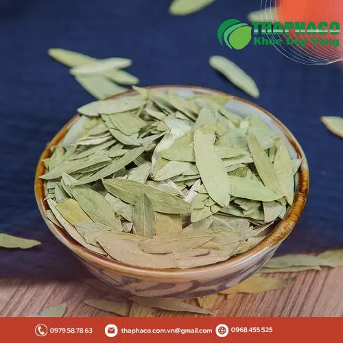 Bảo quản Phan Tả Diệp đúng cách