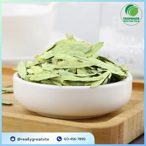 Cách dùng Phan Tả Diệp THAPHACO đúng cách