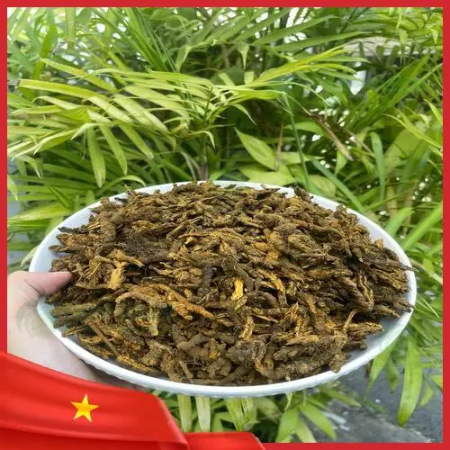 Cách sử dụng Hoàng liên sấy khô từ ThaphaCo