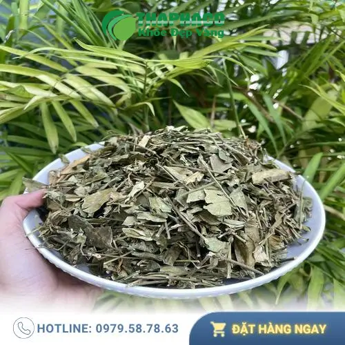 Sản phẩm dây thìa canh Thảo Dược Tươi THAPHACO