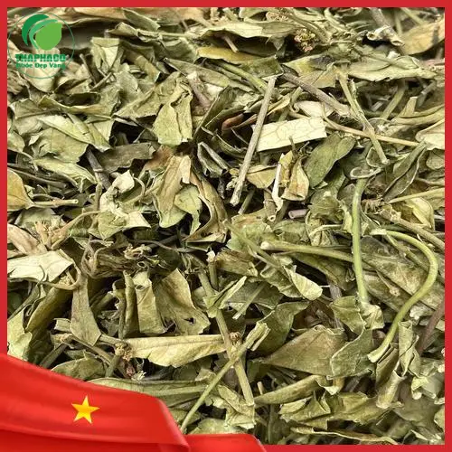 Cách bảo quản Dây Thìa Canh sấy khô đúng chuẩn