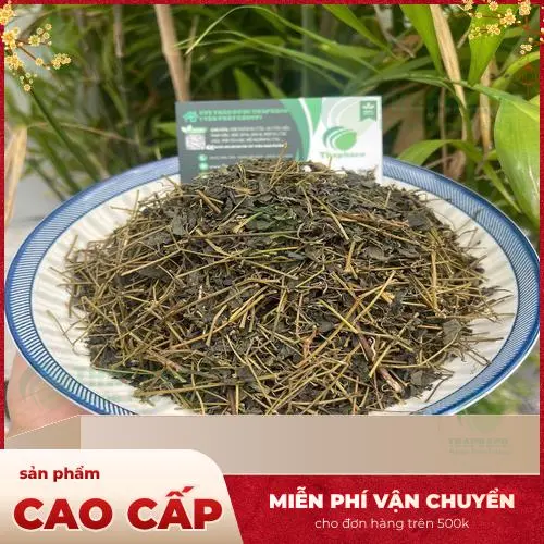 Giảo Cổ Lam được thu hoạch thủ công và kiểm tra chất lượng