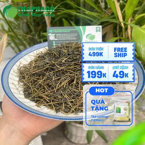 Túi Giảo Cổ Lam sấy khô 1kg THAPHACO được bảo quản đúng cách