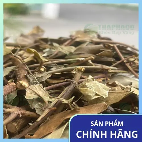 Cách pha chế và sử dụng chè vằng đúng cách