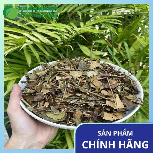 Lợi ích sức khỏe của chè vằng cho phụ nữ sau sinh
