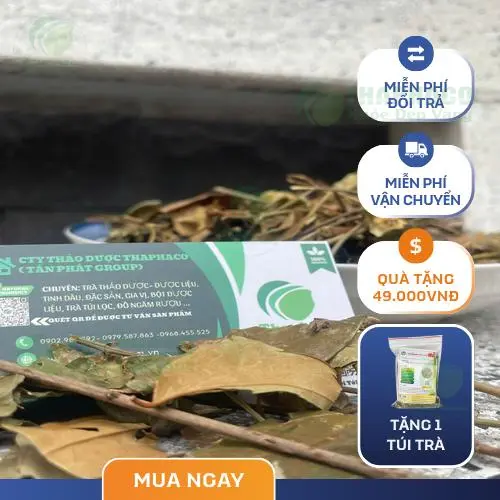 Phụ nữ đang cân nhắc uống chè vằng