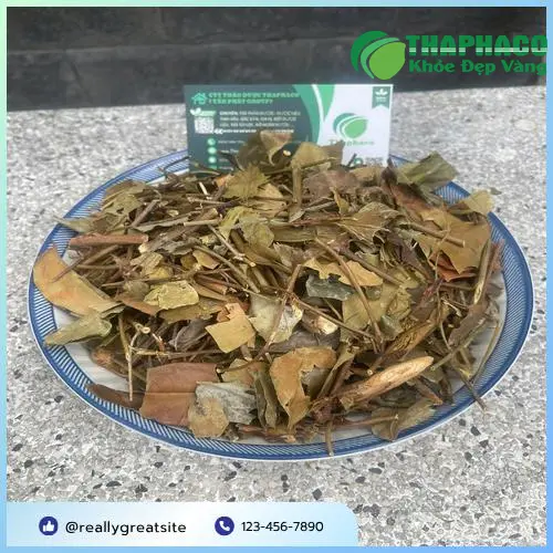 So sánh chè vằng chất lượng cao và sản phẩm kém chất lượng