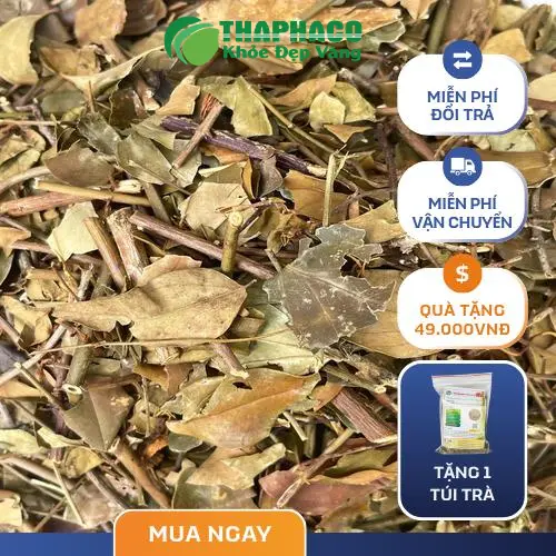 Sản phẩm chè vằng sấy khô đóng gói Thảo Dược Tươi THAPHACO