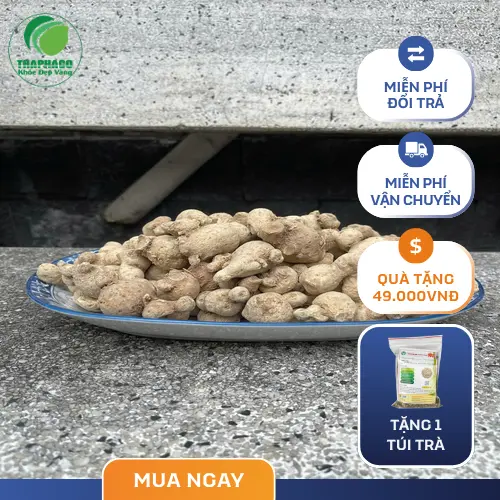 Những công dụng tuyệt vời của Củ Tam Thất Nam đối với sức khỏe