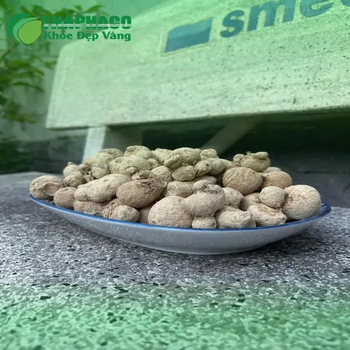 Chọn mua Củ Tam Thất Nam tươi ngon tại Thảo Dược Tươi THAPHACO