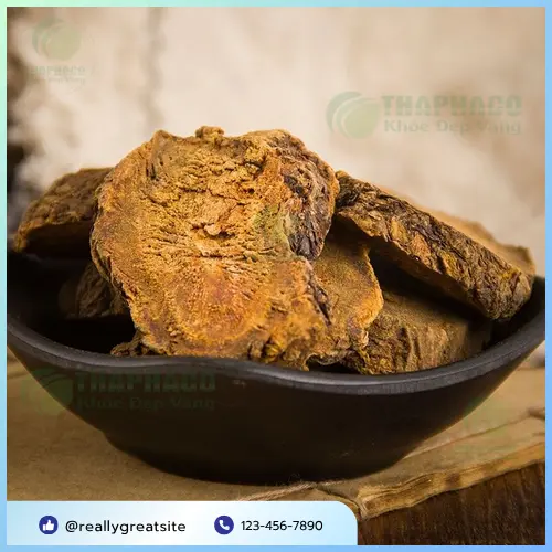 Đại hoàng sấy khô chất lượng cao từ Thảo Dược Tươi THAPHACO