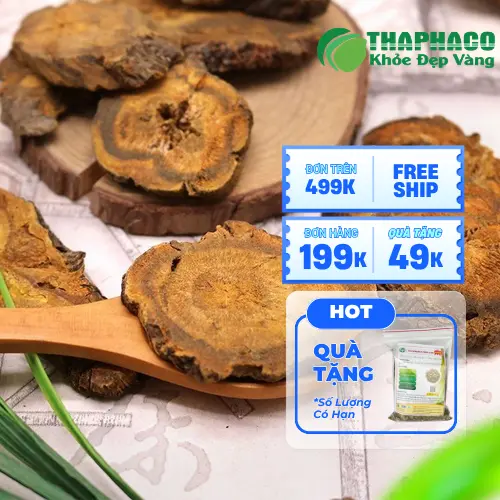 Đại hoàng sấy khô THAPHACO đảm bảo sạch và xanh