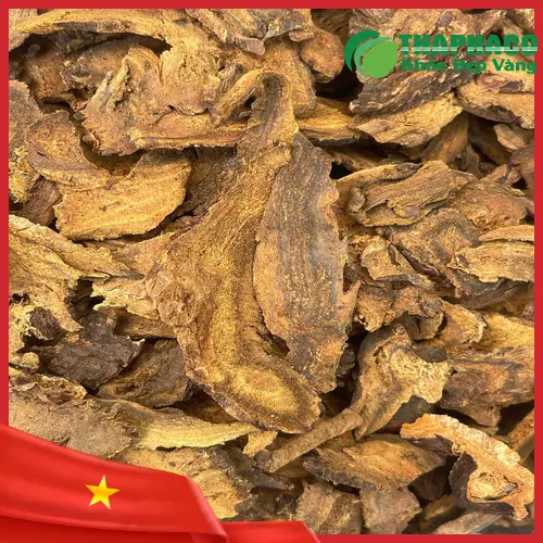 Quy trình sấy khô đại hoàng hiện đại tại THAPHACO