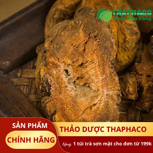 Quy trình kiểm định chất lượng Đại Hoàng tại THAPHACO