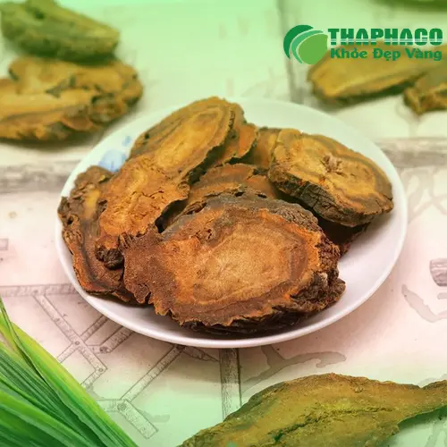 Rễ đại hoàng phơi khô, sẵn sàng cho việc sử dụng làm trà