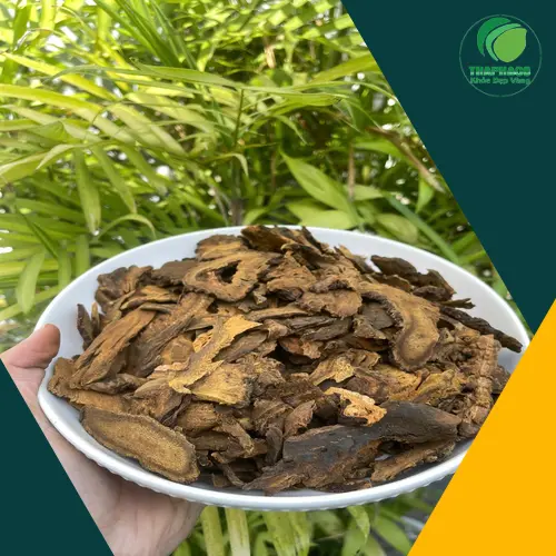 Sản phẩm đại hoàng sấy khô đóng gói tại Thảo Dược Tươi THAPHACO