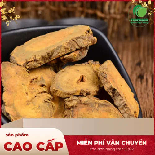 Sản phẩm đại hoàng khô của Thảo Dược Tươi THAPHACO