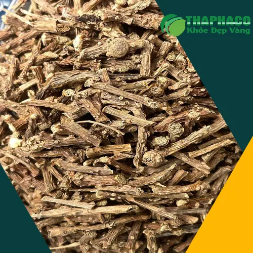 Dây thần thông thật với màu xanh tự nhiên và các đốm trắng đặc trưng trên thân