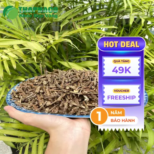 Dây thần thông tươi chất lượng cao tại Thảo Dược Tươi THAPHACO