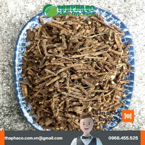 Dây Thần Thông tươi nguyên chất