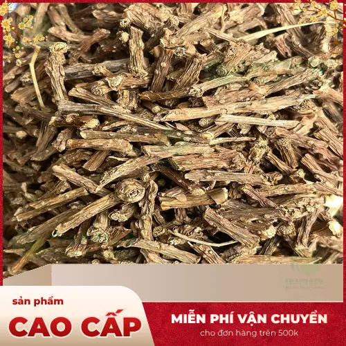 Hình ảnh tổng quan về Dây Thần Thông tươi